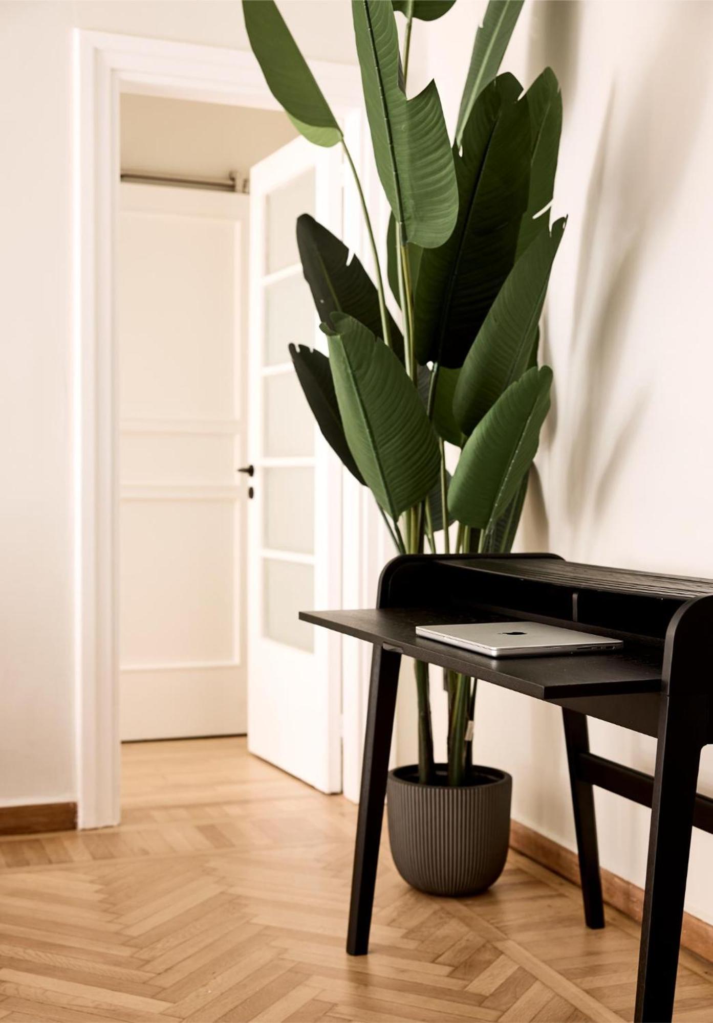 Lime Residences, Syntagma By Aura Homes Aten Rum bild